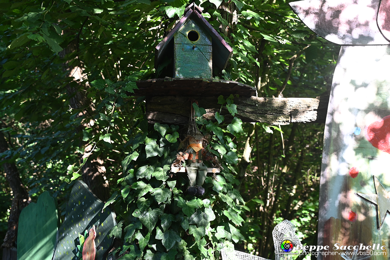 VBS_4932 - Il bosco fatato - Montaldo Roero.jpg